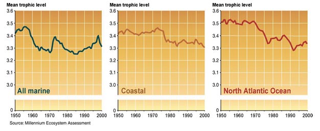 Trophic level change