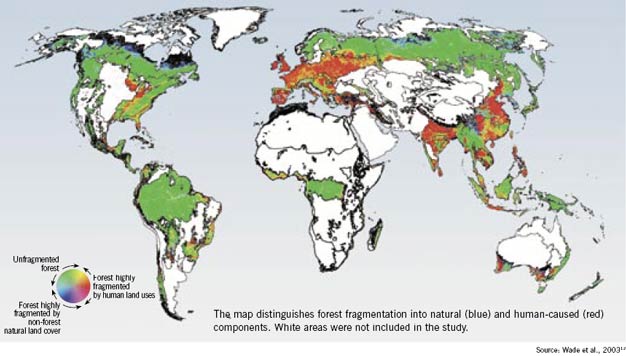 Estimates of forest fragmentation due to anthropogenic causes