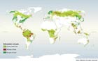 Locations reported by various studies as undergoing high rates of change in forest cover in the past few decades