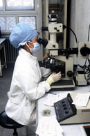 Un réseau de laboratoires supranationaux prête main forte au réseau national de laboratoires